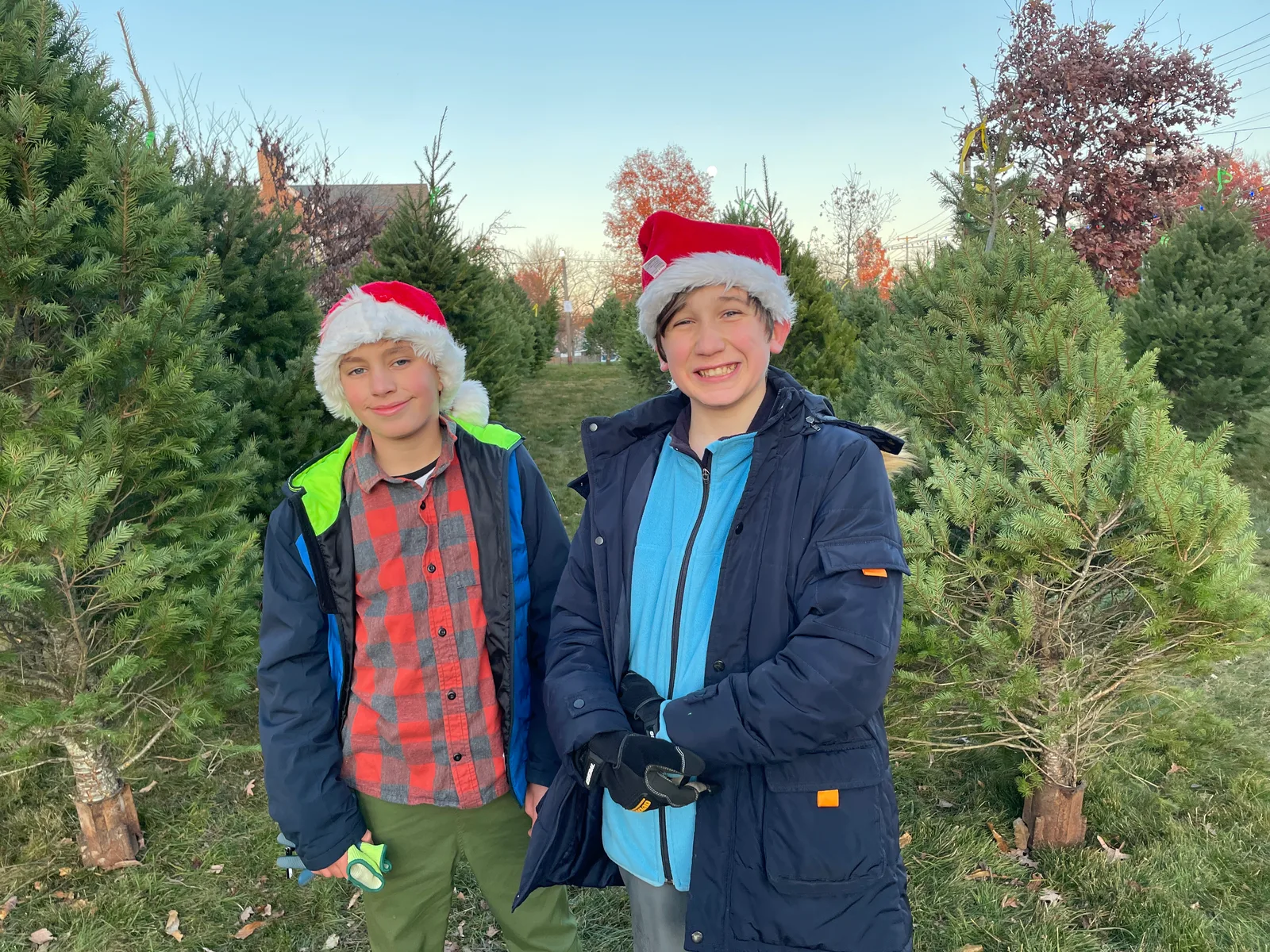 Two scouts in Santa hats among Christmas trees at the troop’s tree lot
