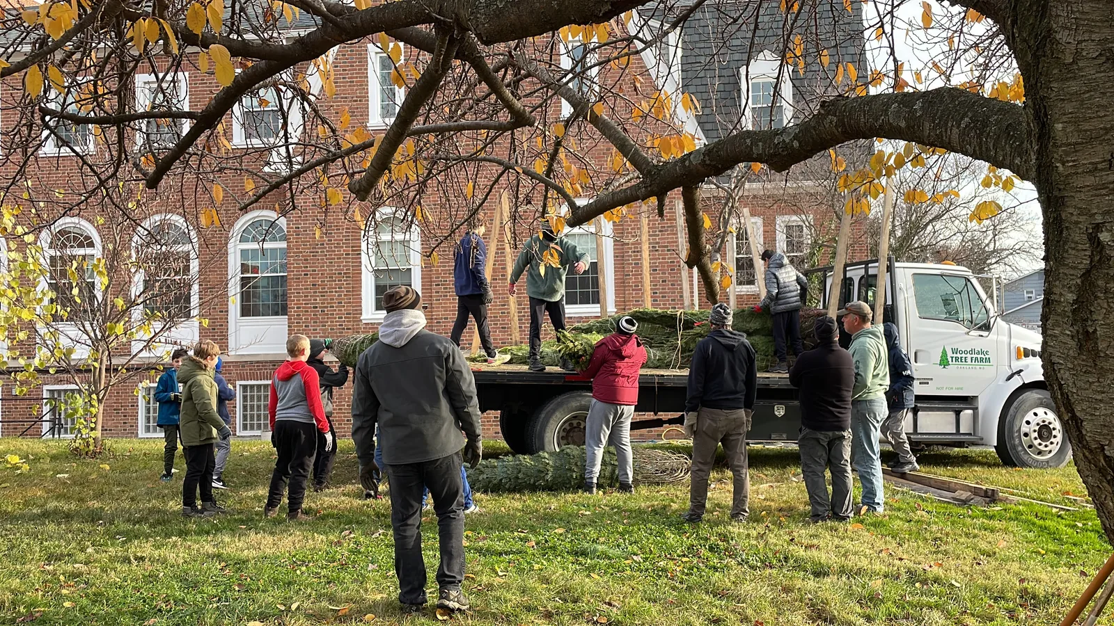Scouts and volunteers working together to unload Christmas trees from a truck